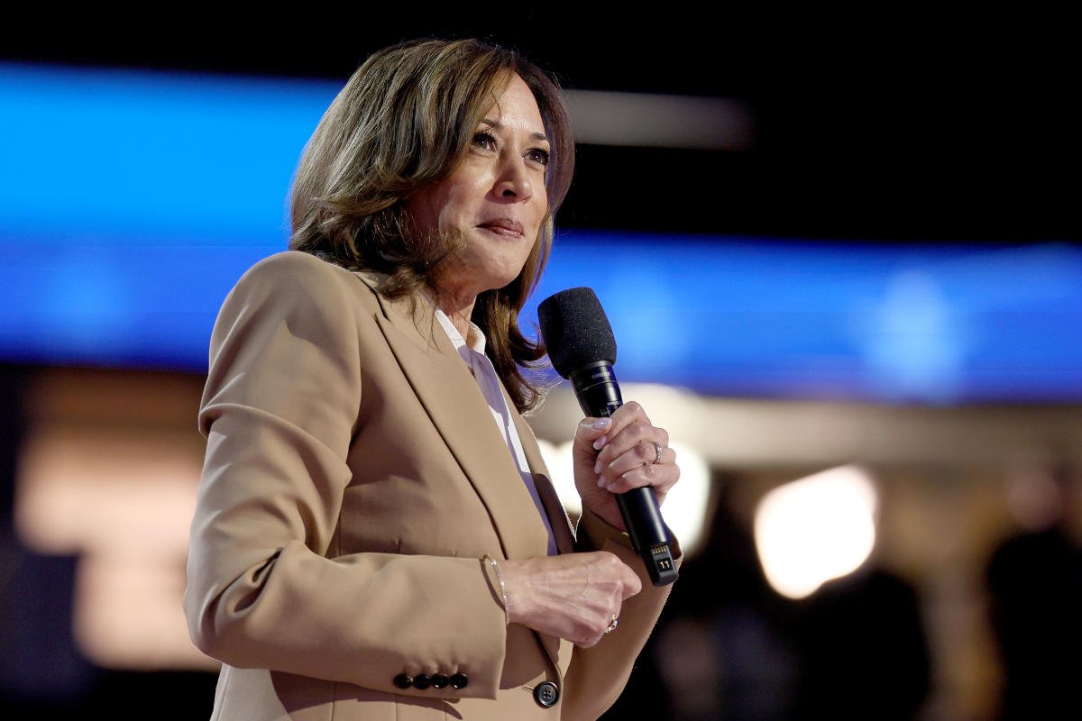 How Democrats tout Harris as good for business (despite some unpopular ideas)