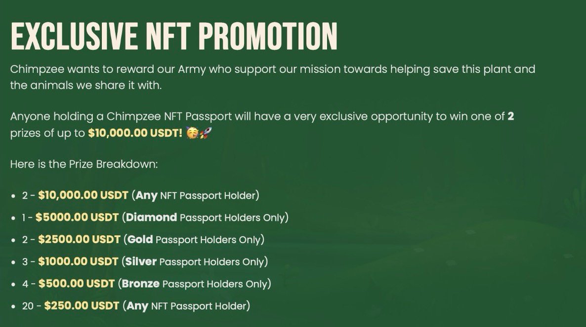 Chimpze Exclusive NFT Promotion