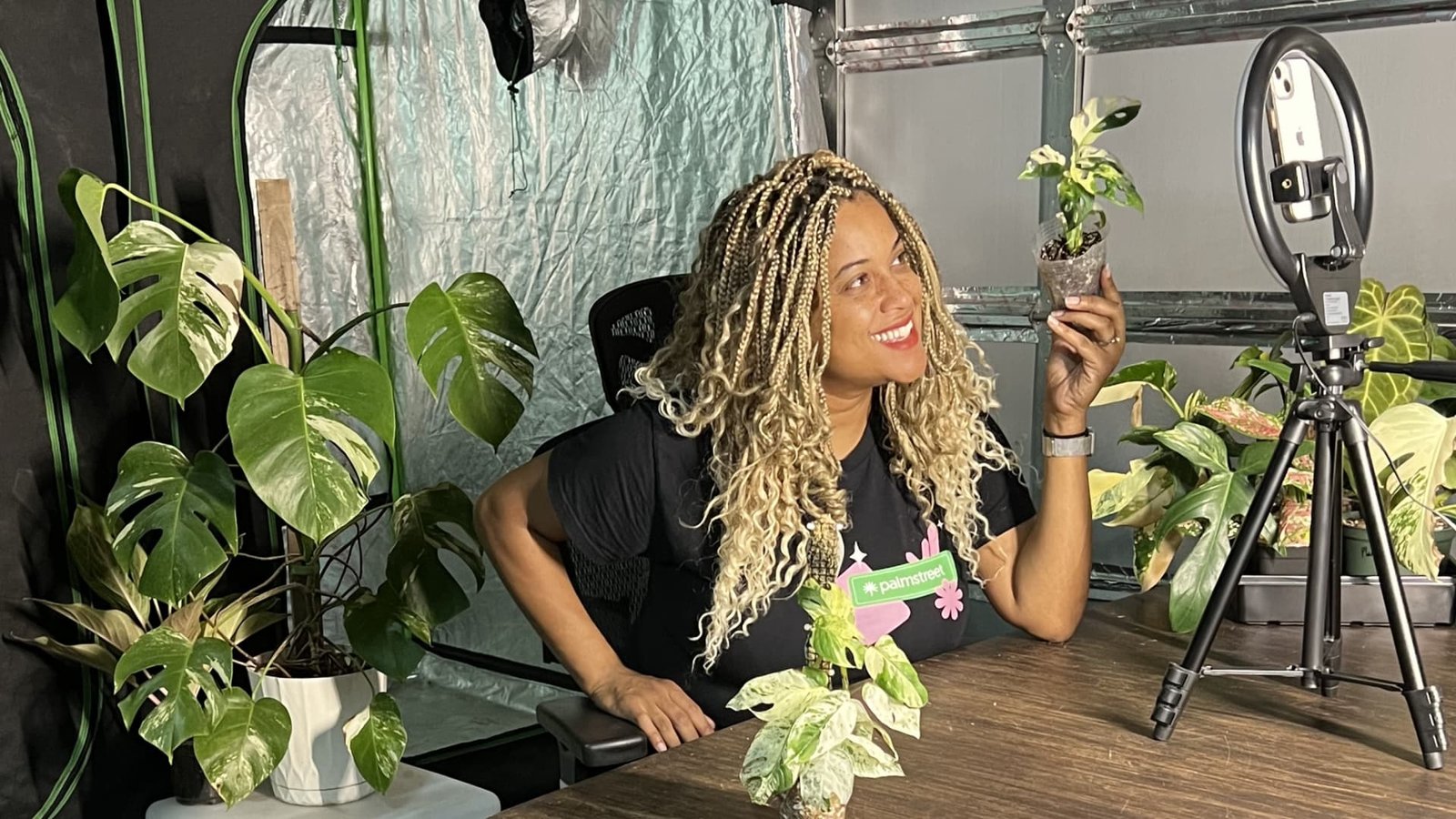 IT analyst's lucrative side hustle: Selling houseplants online