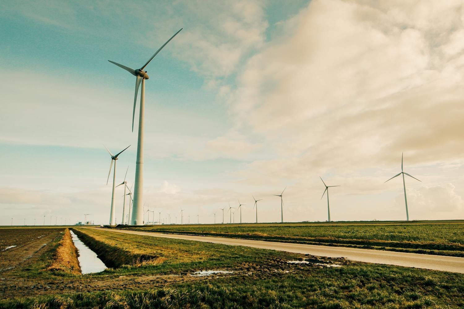 Énergies renouvelables (éoliennes)