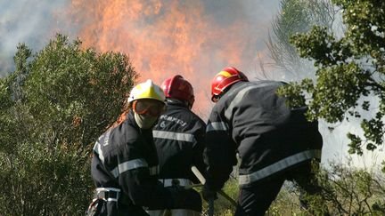 Firefighters on intervention in the Pyrénées-Orientales, in 2006. Illustration. (RAYMOND ROIG, - / AFP)