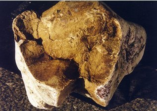 Strange things worth more than you can imagine whale vomit