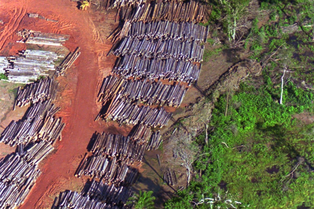 Suriname promises to protect 90% of proposal far beyond the global conservation goals